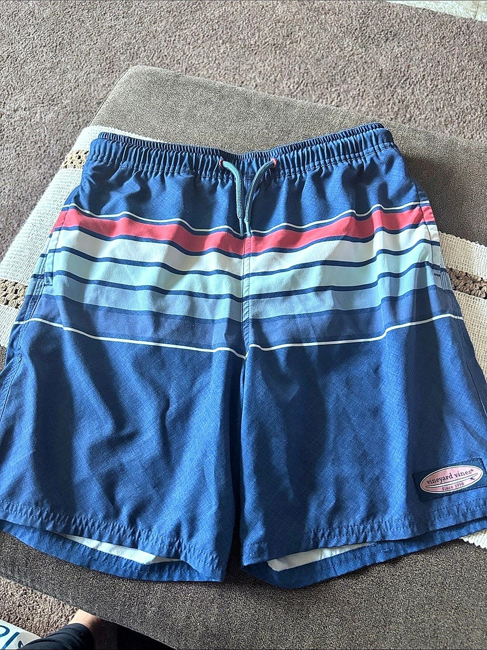 Vineyard Vines Striped Shorts in Blue & Pink Size Medium